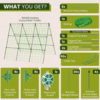 50x50 Cucumber Trellis for Raised Bed - Image 2