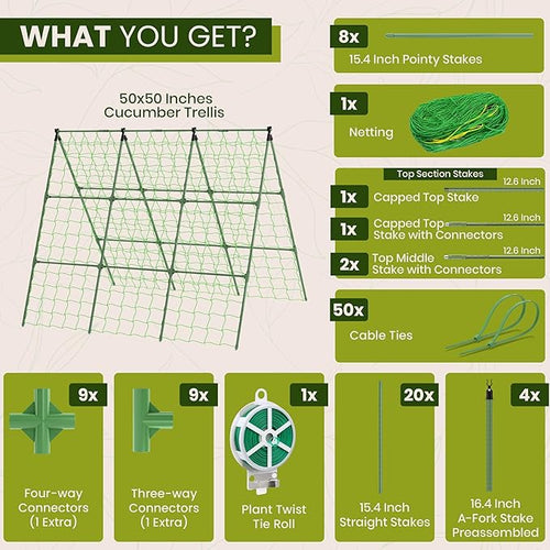 50x50 Cucumber Trellis for Raised Bed - Image 2