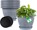 6 Inch Flower Pots Planters for Indoor Outdoor Plants, 6 Pack Plastic Small by Fodetyff