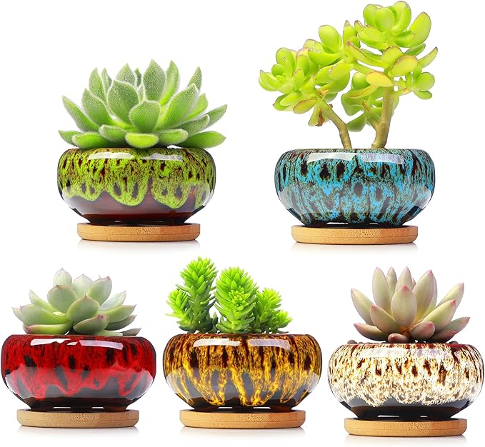 Cute Ceramic Succulent Garden Pots, Planter by LamDawn