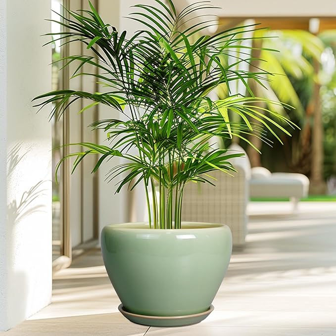 Ceramic Planter Pot - Image 4