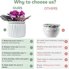 6 Inch African Violet Pots Self Watering, Ceramic Planter - Image 4