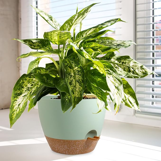 Big Self Watering Pots 12/10/9 inch, Plant Pots - Image 6