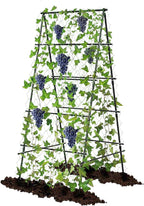 Garden Trellis for Climbing Plants, A-Shape Garden Plant Support Frame for by AlisisFores