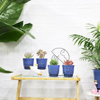 Gepege Succulent Pots, 4 Inch Small Indoor Ceramic Planter Pot - Image 5