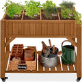 Best Choice Products Elevated 8 Pocket Herb Garden Bed, Mobile Raised by BestChoiceProducts