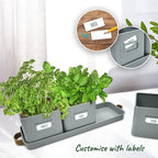 volila Herb Planter Indoor - Image 3