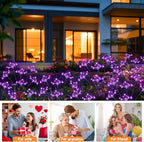 Solar Garden Lights 2 Pack Waterproof Solar Swaying Starburst Light Outdoor - Image 8