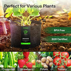 VIVOSUN 5-Pack 7 Gallon Plant Grow Bags, Heavy Duty Thickened Nonwoven Fabric - Image 7