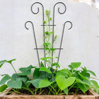 4 Pack 43'' Indoor Plant Trellis - Image 7