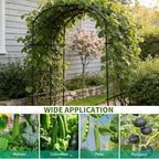 DoCred Tall Garden Arch Trellis - Image 3