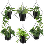 Baderke 6 Sets Wall Planters for Indoor Plants Hanging Wall Planter by Baderke