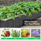 VIVOSUN 3-Tier Metal Raised Garden Bed, Vegetables and Herbs - Image 7