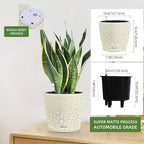 Dexceder 11x10 Inches Self Watering Planter Indoor Outdoor, Inner Pot Design - Image 2