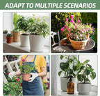 17.5 Inch Indoor Plant Trellis for Climbing Plants, Metal Trellis, Small Garden - Image 7