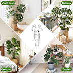 Coomin 32.6in Monstera Plant Support - Image 6