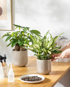 vancasso Ceramic Plant Pots, 4+5+6 inches, Planters - Image 8