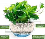 Dexceder 13.5 Inch Large Self Watering Hanging Planters Indoor Outdoor - Image 2