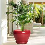 Ceramic Planter for Indoor Plants 8 Inch - Image 4