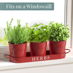 Barnyard Designs Indoor Herb Garden Planter Set - Image 3