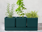 D'vine Dev Herb Garden Planter Set, Plastic Plant Pots - Image 2