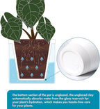 D'vine Dev 6 Inch Design Self Watering Planter - Image 4