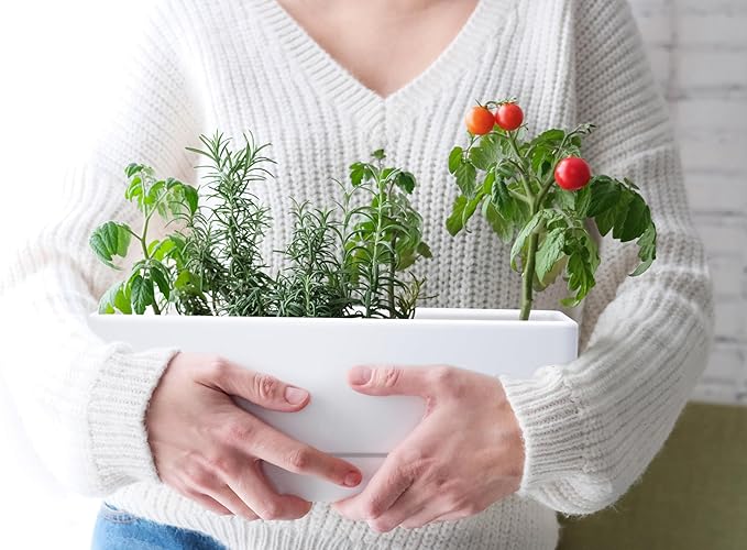 D'vine Dev 12 Inch Window Box Planter, Rectangle Plastic Herb Planter - Image 7