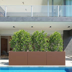 Rectangular Planter Box with Removable Insert Shelf - Image 7