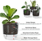 Self Watering Pots, 3 Pack 6.5/5/4 Inch Clear Plant Pot Self Watering Planter - Image 3