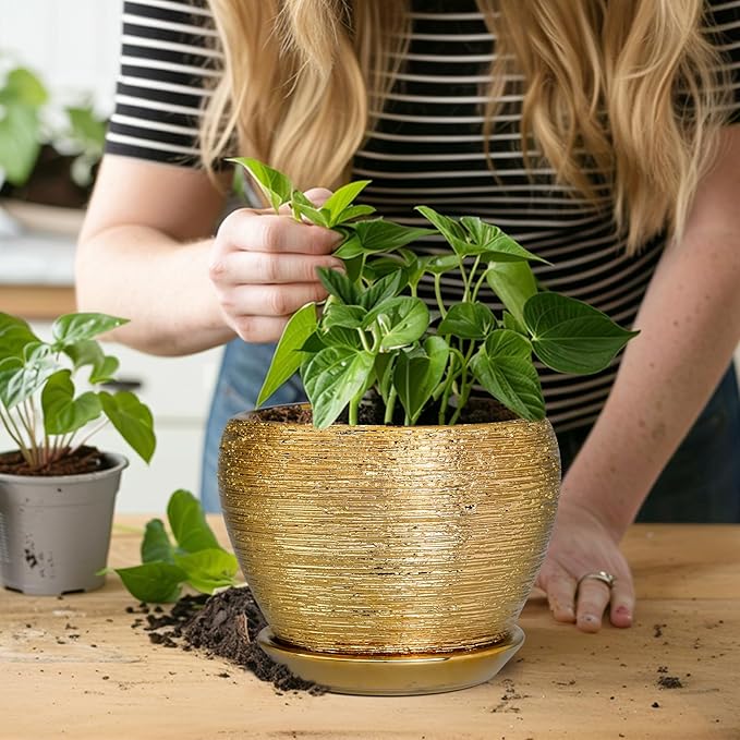 Indoor Plant Pot 6 Inch - Image 5