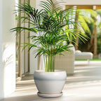 Ceramic Planter - Image 5