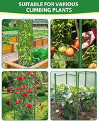 6 Pack Tomato Cages for Garden, 51in*13in Adjustable Tomatoes Plant Stakes - Image 3