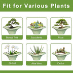 Ceramic Bonsai Pots - Image 7