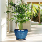 8 Inch Ceramic Plant Pot, Ceramic Planter Pot - Image 7