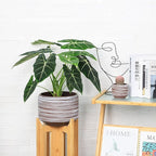 10 Inch Ceramic Plant Pot with Drainage – Large Flower Pot - Image 6