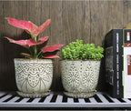 Gepege 6 Inch Beaded Ceramic Planter Set of 2 - Image 5
