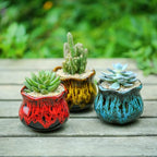 Cute Ceramic Succulent Planters, Garden Pots - Image 3