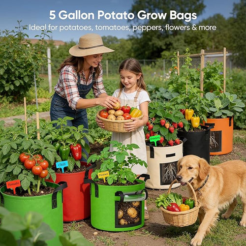 5 Gallon Potato Grow Bags: Set of 5 Colorful Gardening Supplies Fabric Pots - Image 2