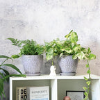 6 Inch Retro Ceramic Planter Set of 2 - Image 5