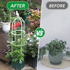 Garden Trellis for Climbing Plants, Rustproof Metal Pipe - Image 6