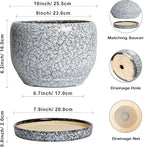 SQOWL Ceramic Planters - Image 3