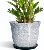 Ceramic Planter by SUNPOTFOR