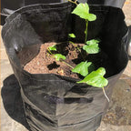 JJGoo Potato Grow Bags, 4 Pack 10 Gallon - Image 8