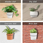 6 Pack 8 inch Flower Pot Holder Ring, Flower Pot Holder Ring Wall Mounted Set - Image 7