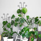 32.6in Monstera Plant Support Stakes - Image 9