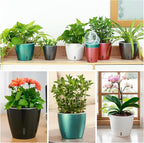 Self Watering Pots for Indoor Plants, Small African Violet Pots - Image 4