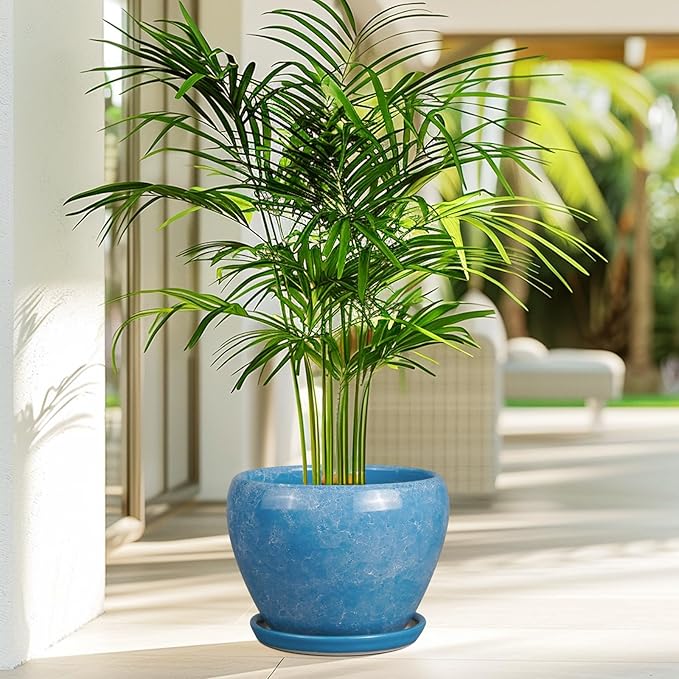 Ceramic Planter - Image 6
