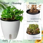 Eccliy 14 Pieces 5 Inch Indoor Plant Pots Self Watering Planters - Image 4