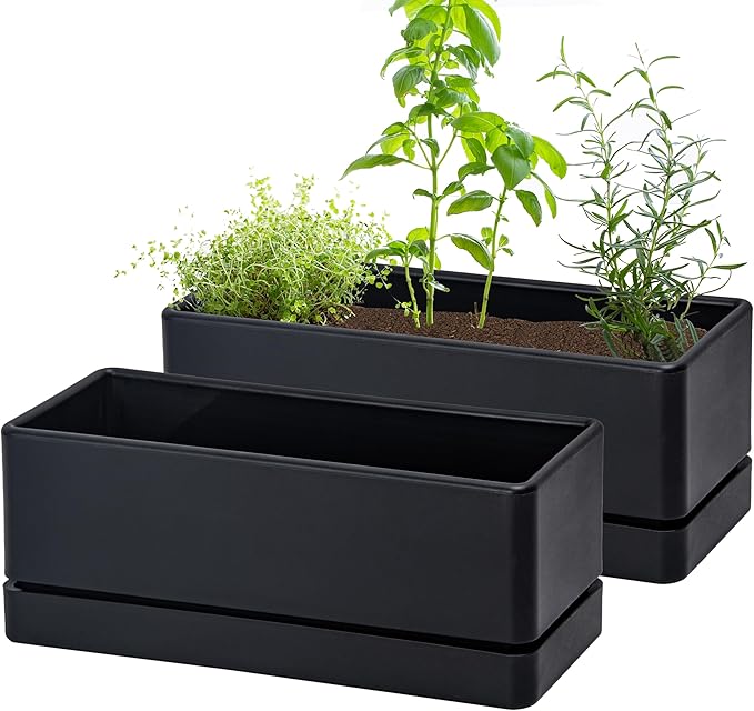 D'vine Dev 12 Inch Window Box Planter, Rectangle Plastic Herb Planter by DvineDevPlanterPotsandStand