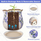 Ceramic-Planters-for-Indoor-Plants - Image 5